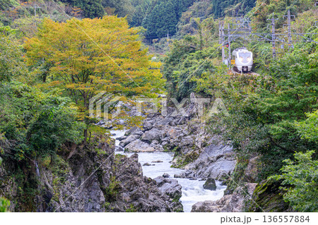 秋の川代渓谷に沿って福知山線の特急列車が駆け抜ける 136557884