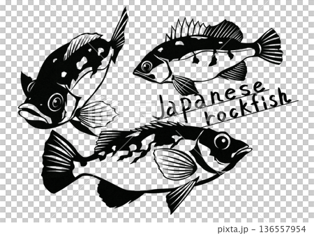 哦，如果你想捕捉一群岩魚，這就是你要找的！這是一幅很酷的岩魚剪紙插圖。 136557954