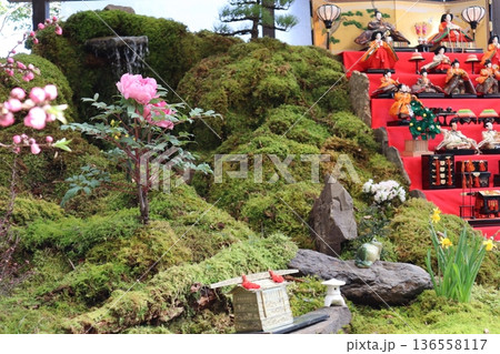 日本の伝統/美しいお雛様 136558117