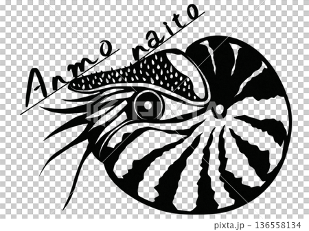 A simple black and white illustration of an ammonite with cool text A simple black and white illustration of an ammonite with cool text 136558134