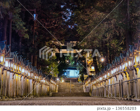 【奈良県生駒市／宝山寺】一の鳥居と夜の参道 136558203