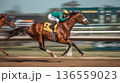 競走馬　競馬 136559023