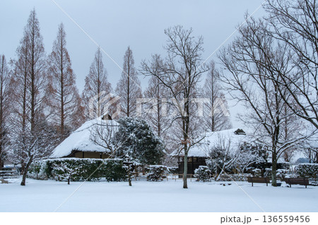 茅葺屋根の雪景色 136559456