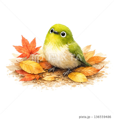 メジロ 紅葉 水彩 小鳥 秋の葉っぱ イラスト 切り抜き素材 136559486