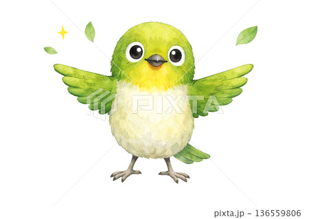 メジロ 羽ばたき 笑顔 水彩 小鳥 かわいい イラスト 切り抜き素材 136559806