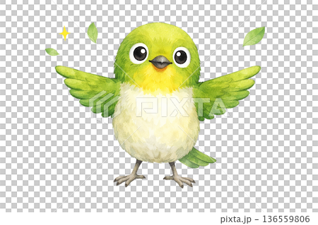 メジロ 羽ばたき 笑顔 水彩 小鳥 かわいい イラスト 切り抜き素材 136559806