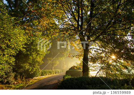 Sunset on an early misty morning on the road in Hoogersmilde 136559989