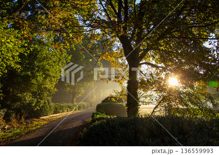 Sunset on an early misty morning on the road in Hoogersmilde Sunset on an early misty morning on the road in Hoogersmilde 136559993