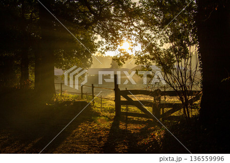 Sunset on a misty morning in Hoogersmilde 136559996