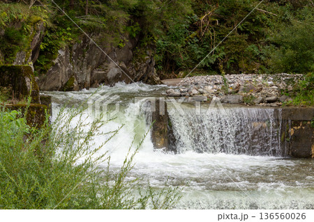 Waterfall in Napplach, Carinthia, Austria 136560026