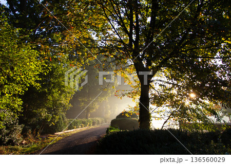 Sunset on an early misty morning on the road in Hoogersmilde Sunset on an early misty morning on the road in Hoogersmilde 136560029