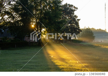 Sunset on an early misty morning shining over the meadow in Hoogersmilde. Sunset on an early misty morning shining over the meadow in Hoogersmilde. 136560040