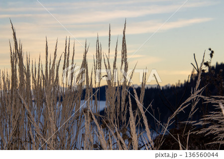 Sunset over the mountains and the fog in the valley. 136560044