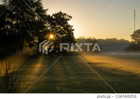 Sunset on an early misty morning shining over the meadow in Hoogersmilde. Sunset on an early misty morning shining over the meadow in Hoogersmilde. 136560058