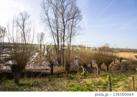 Floodplain landscape in Aerdt 136560084