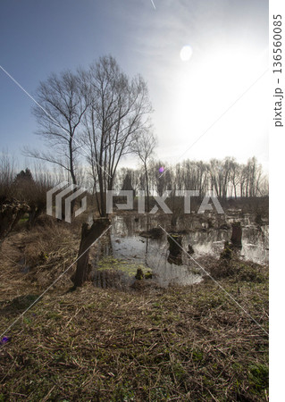 Floodplain landscape in Aerdt 136560085