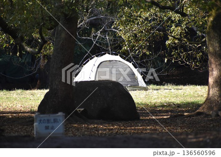 休日は近くの公園でテントを張って、ゆったりとした時間を過ごす 136560596
