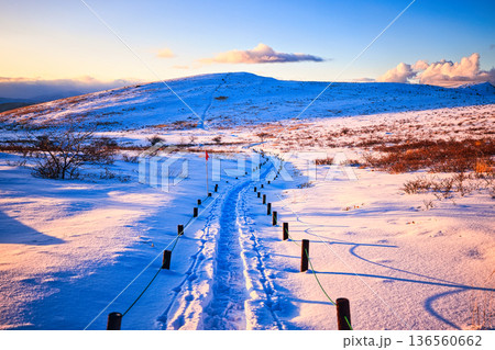 冠雪の夕焼けの八ヶ岳連峰の霧ヶ峰高原 冠雪の夕焼けの八ヶ岳連峰の霧ヶ峰高原 136560662