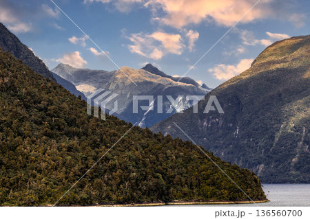 フィヨルドランド国立公園 136560700