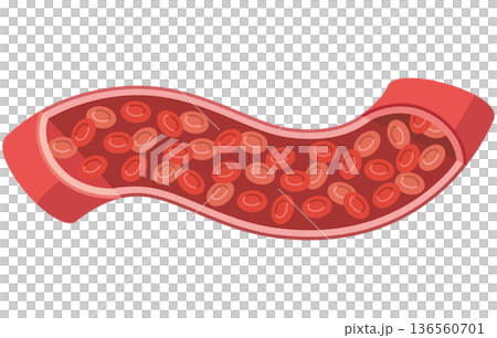 Illustration of red blood cells flowing through blood vessels 136560701