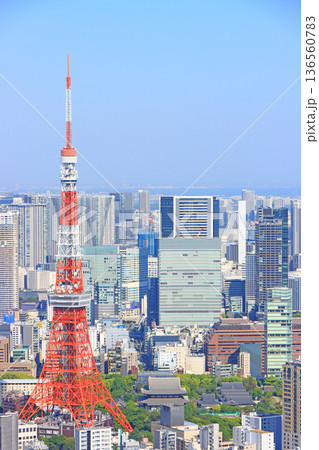 東京都港区、東京タワーと東京の街並みの風景 136560783