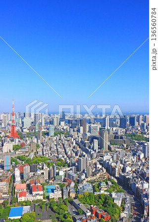 東京都港区、東京タワーと東京の街並みの風景 136560784