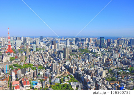 東京都港区、東京タワーと東京の街並みの風景 136560785