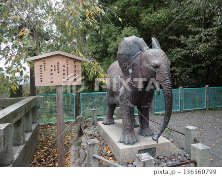 香川県仲多度郡琴平町にあり、こんぴらさんと呼ばれる琴平山の中腹に鎮座する金刀比羅宮(ことひらぐう) 香川県仲多度郡琴平町にあり、こんぴらさんと呼ばれる琴平山の中腹に鎮座する金刀比羅宮(ことひらぐう) 136560799
