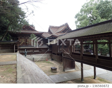 香川県仲多度郡琴平町にあり、こんぴらさんと呼ばれる琴平山の中腹に鎮座する金刀比羅宮（ことひらぐう） 136560872