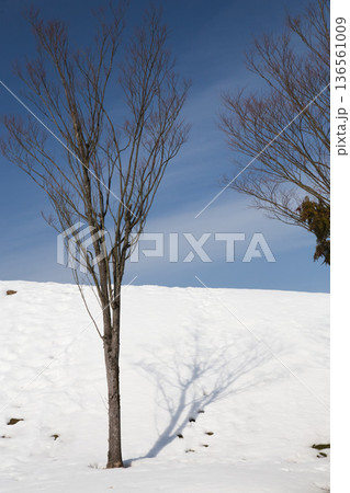 雪の造形 136561009