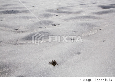 雪の造形 雪の造形 136561013