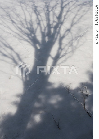 雪の造形 雪の造形 136561016
