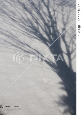 雪の造形 雪の造形 136561017