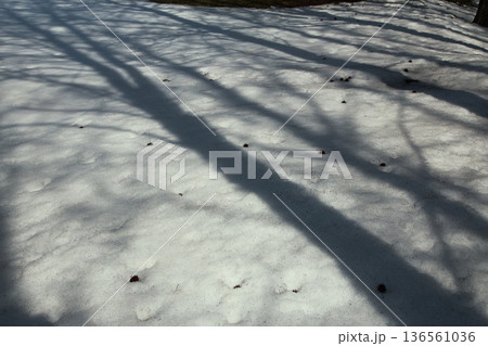 雪の造形 136561036