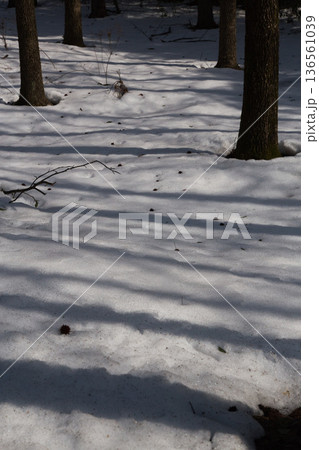 雪の造形 136561039