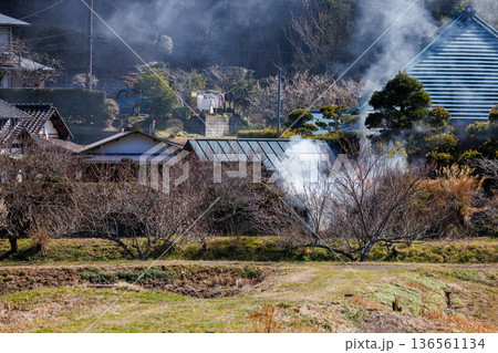 冬の日本の田舎風景：野焼きの煙と咲き始めた梅の花（千葉県） 136561134
