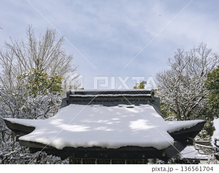 雪化粧の社殿、神社の屋根に積もる白い雪 136561704