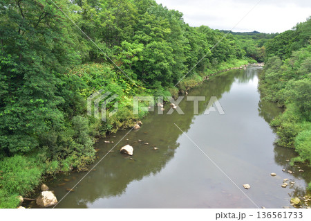 JR北海道函館本線　倶知安駅から昆布駅までの普通列車車窓風景(2023年夏雨) 136561733