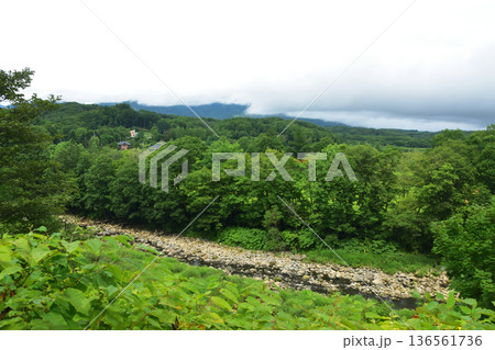 JR北海道函館本線　倶知安駅から昆布駅までの普通列車車窓風景(2023年夏雨) 136561736