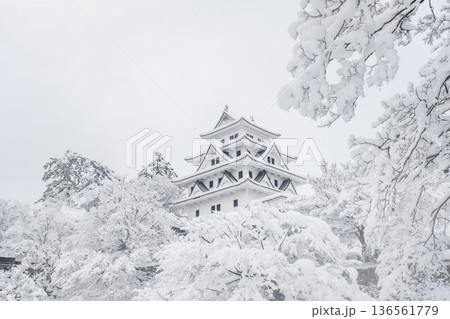郡上八幡城（冬） 136561779