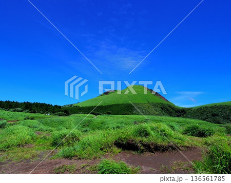 草千里ヶ浜(熊本県阿蘇市) 136561785