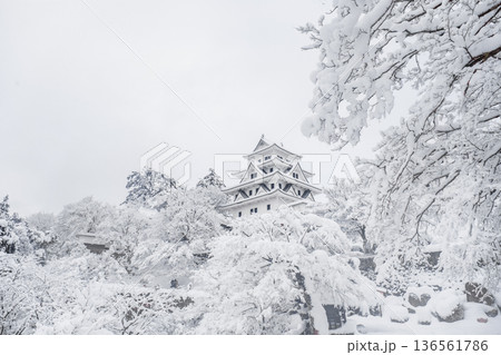 郡上八幡城（冬） 136561786