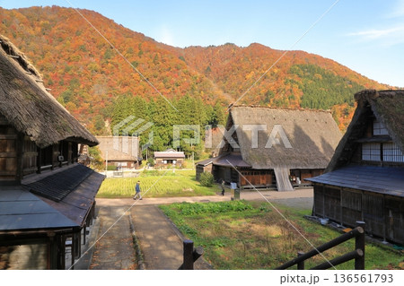 秋の紅葉の 五箇山 菅沼合掌造り集落 ( 富山県 南砺市 ) 秋の紅葉の 五箇山 菅沼合掌造り集落 ( 富山県 南砺市 ) 136561793