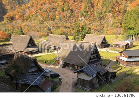 秋の紅葉の 五箇山 菅沼合掌造り集落 ( 富山県 南砺市 ) 秋の紅葉の 五箇山 菅沼合掌造り集落 ( 富山県 南砺市 ) 136561796
