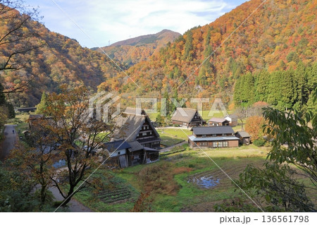 秋の紅葉の 五箇山 菅沼合掌造り集落 ( 富山県 南砺市 ) 秋の紅葉の 五箇山 菅沼合掌造り集落 ( 富山県 南砺市 ) 136561798