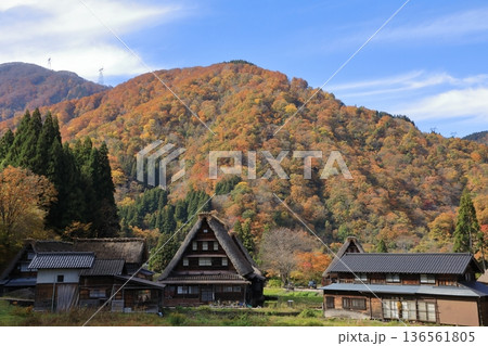 秋の紅葉の 五箇山 菅沼合掌造り集落 ( 富山県 南砺市 ) 秋の紅葉の 五箇山 菅沼合掌造り集落 ( 富山県 南砺市 ) 136561805