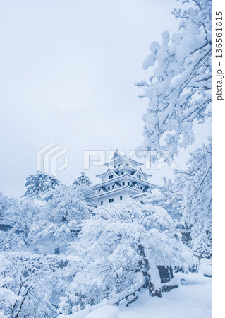 郡上八幡城（冬） 136561815