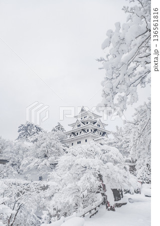郡上八幡城（冬） 136561816