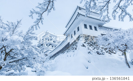 郡上八幡城（冬） 136561841