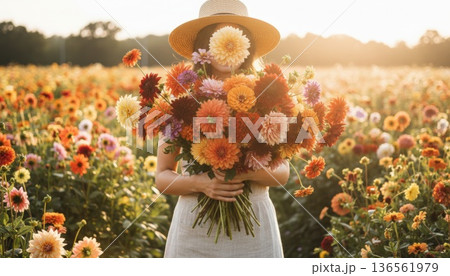 Person in straw hat holding massive autumn flower bouquet in a golden hour dahlia field. 136561979